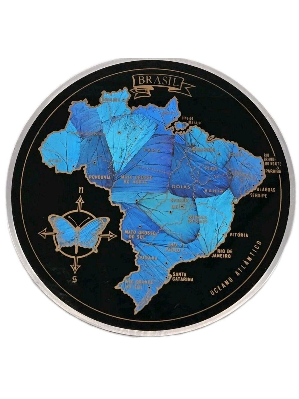 Vintage MCM Blue Morpho Butterfly Wing Art Picture Wall Decor Plaque Brazil